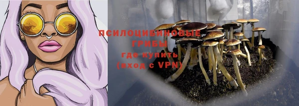 PSILOCYBIN Армянск